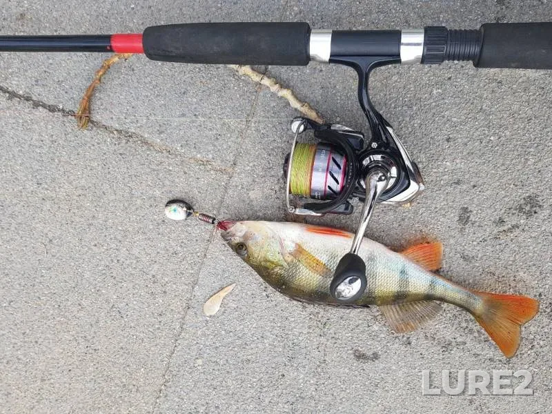 Perch — Severnyy peretochnyy kollektor, Oct 16, 2019