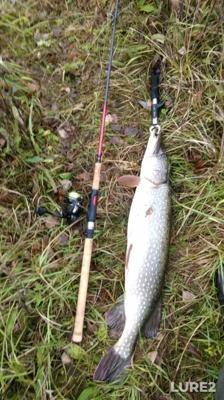 Pike — Lipka, Nov 04, 2019