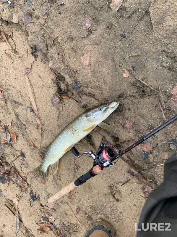 Pike — Gzhat, Nov 13, 2019