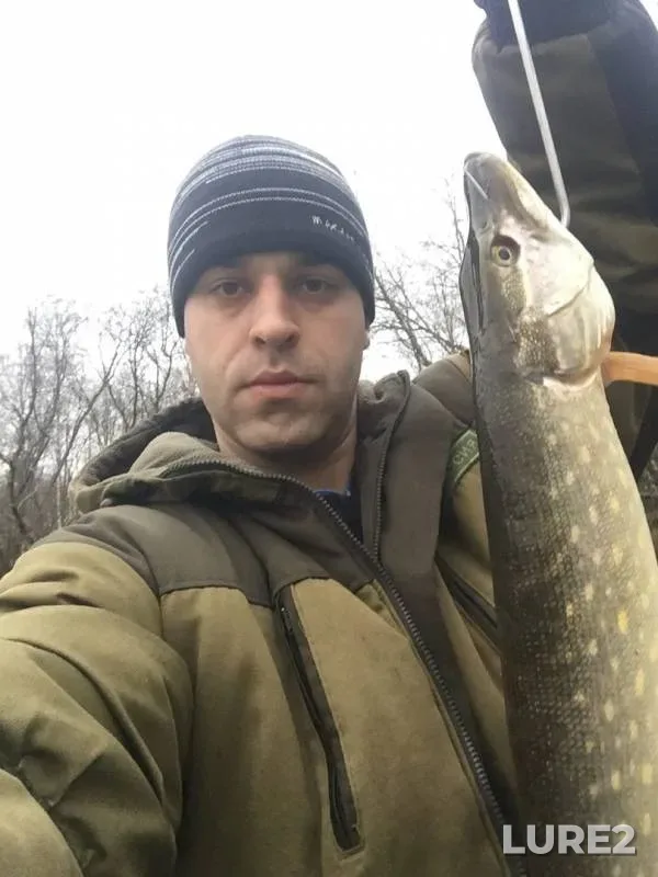 Pike — Iskona, Nov 29, 2019