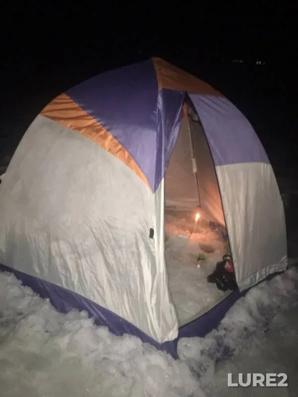 Bream — Otradnoye, Feb 18, 2019