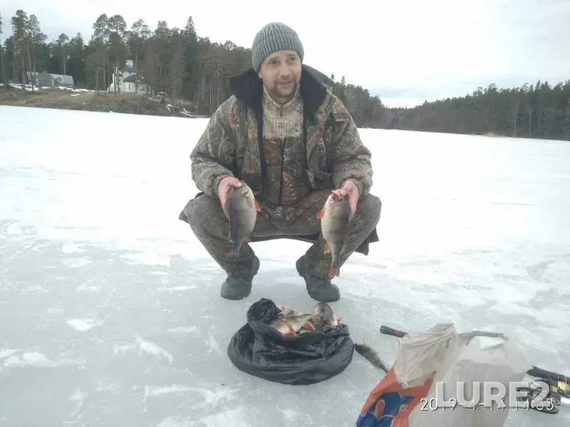 Perch — Iordan (Kirpichnyy kanal), Apr 14, 2019