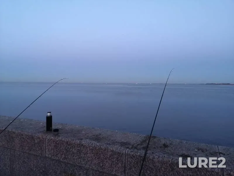 Roach, White bream — Leningradskaya oblast, May 02, 2019
