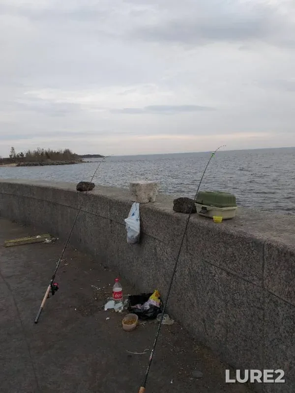 Roach, White bream — Leningradskaya oblast, Apr 20, 2019