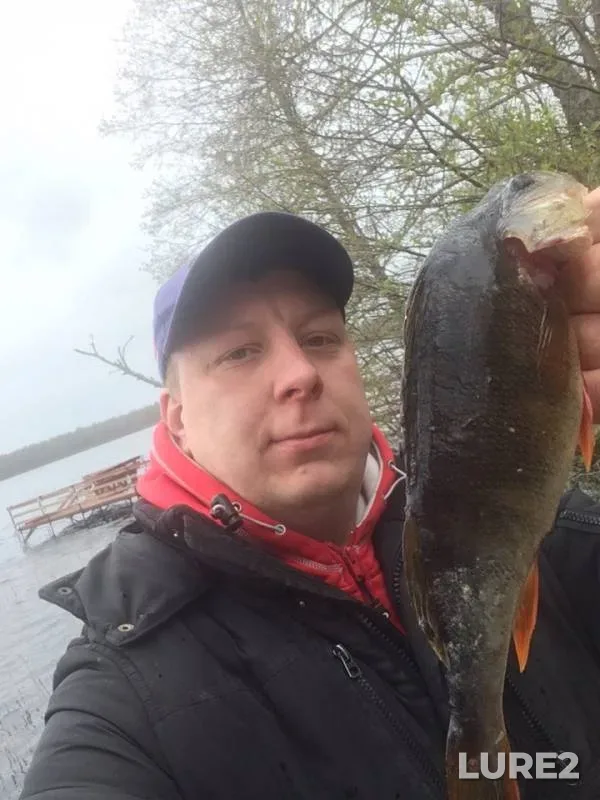Perch — Krasnogorskoye, May 06, 2019