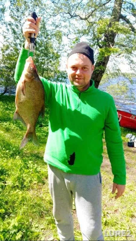 Bream — Leningradskaya oblast, Priozerskiy rayon, Jun 02, 2019