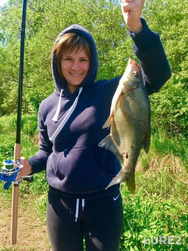 Bream — Lakhtinskiy Razliv, Jun 04, 2019