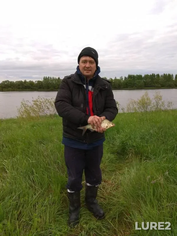 Bream, White bream — Volkhov, May 26, 2019
