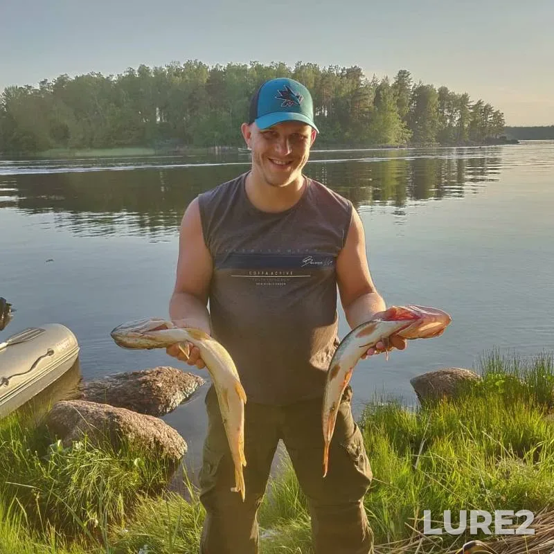 Pike — Leningradskaya oblast, Vyborgskiy rayon, Jun 09, 2019