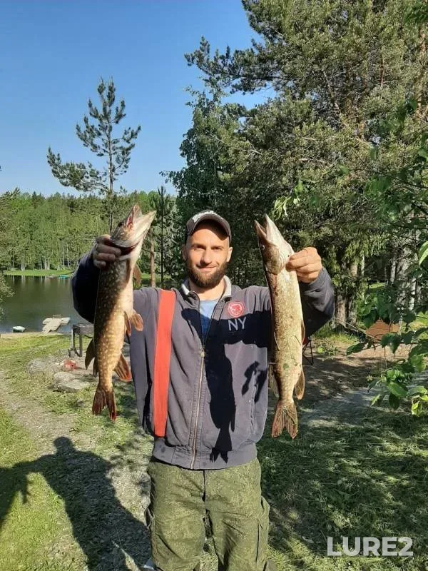 Pike — Respublika Kareliya, Lakhdenpokhskiy rayon, Jun 06, 2019