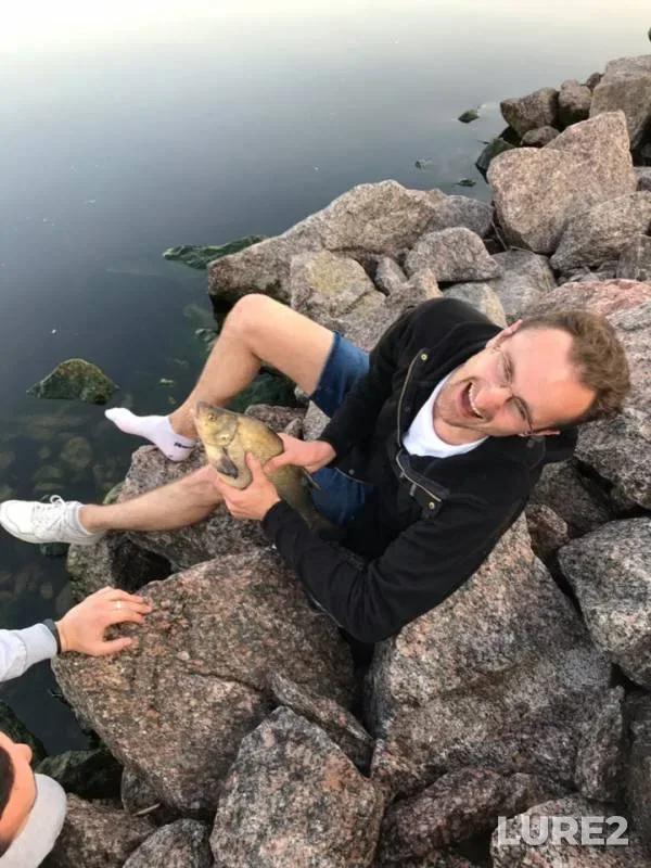 Bream — Leningradskaya oblast, Jun 07, 2019