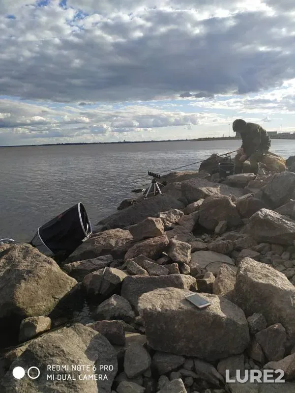 Bream — Leningradskaya oblast, Jun 28, 2019