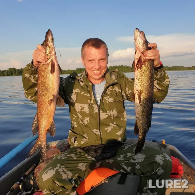 Pike — Vrevo, Jun 21, 2019