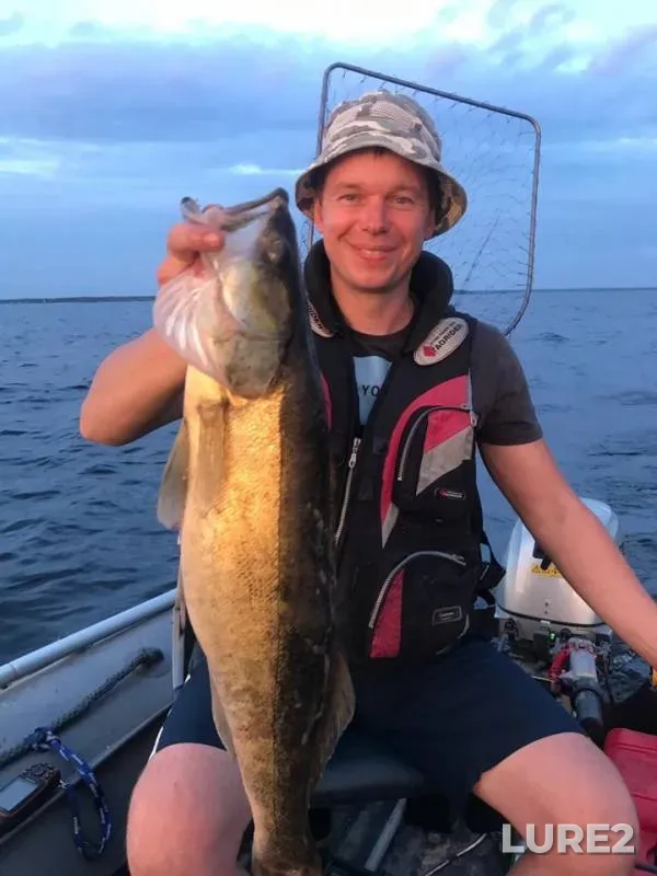 Zander — Leningradskaya oblast, Volkhovskiy rayon, Jun 22, 2019