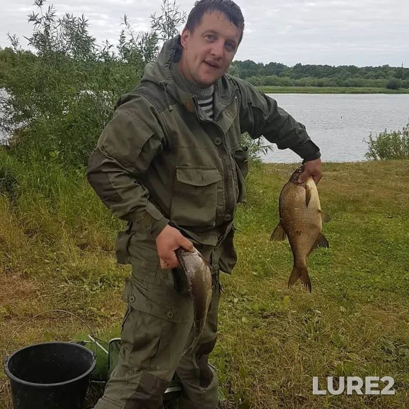 Bream, White bream — Volkhov, Jun 30, 2019