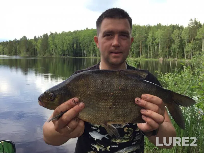 Bream — Kunye, Jul 03, 2019