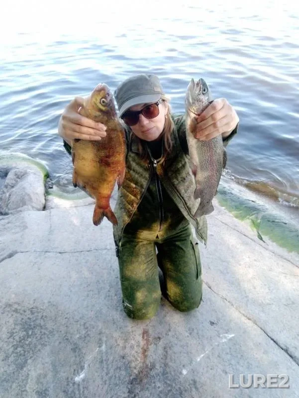 Bream — Tsentralnoye, Jul 04, 2019