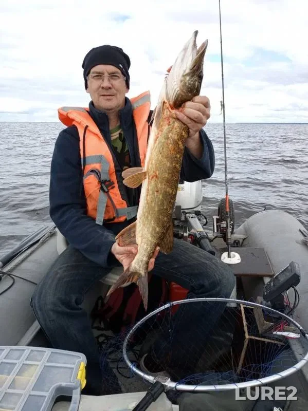 Pike — Leningradskaya oblast, Volkhovskiy rayon, Jul 07, 2019