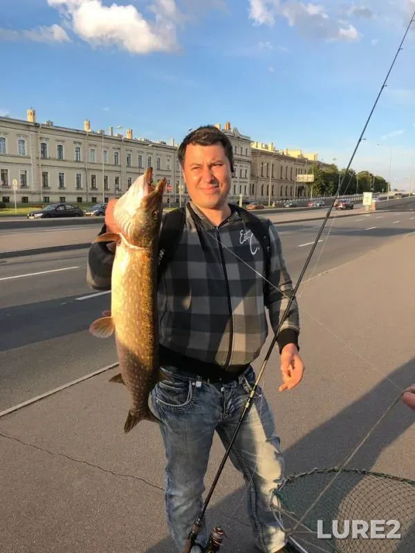 Pike — Neva, Jul 09, 2019