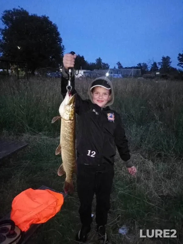 Pike — Novoladozhskiy kanal, Jul 16, 2019