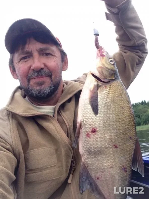 Bream — Kosopasha, Aug 04, 2019