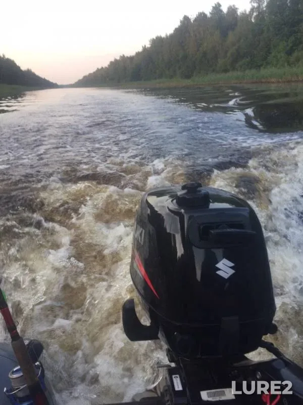 Perch, Pike — Novoladozhskiy kanal, Jul 27, 2019