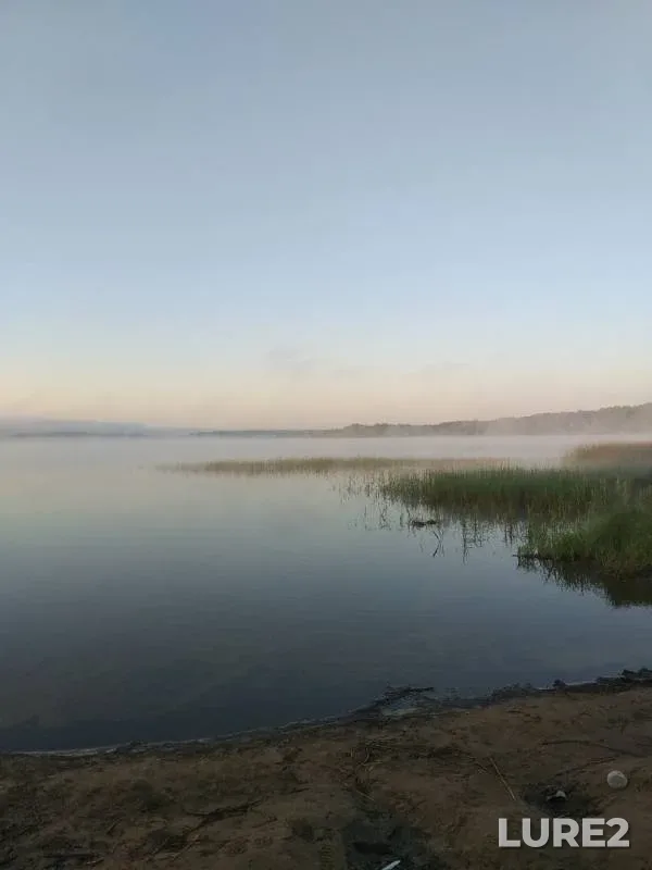 Bream — Lembolovskoye, Aug 19, 2019