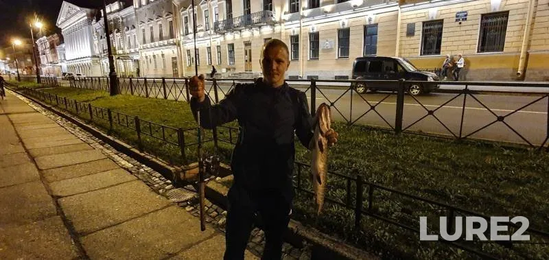 Pike — kanal Griboyedova, Aug 23, 2019