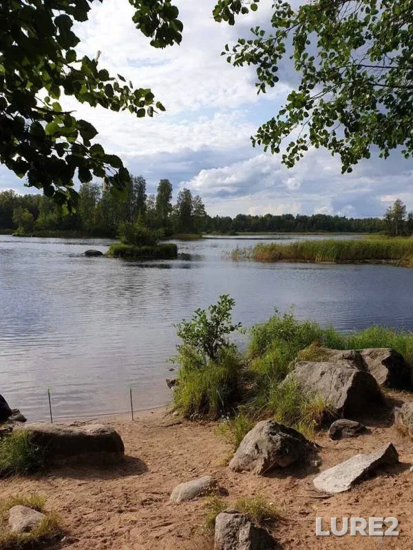 Pike — Belichya, Aug 24, 2019