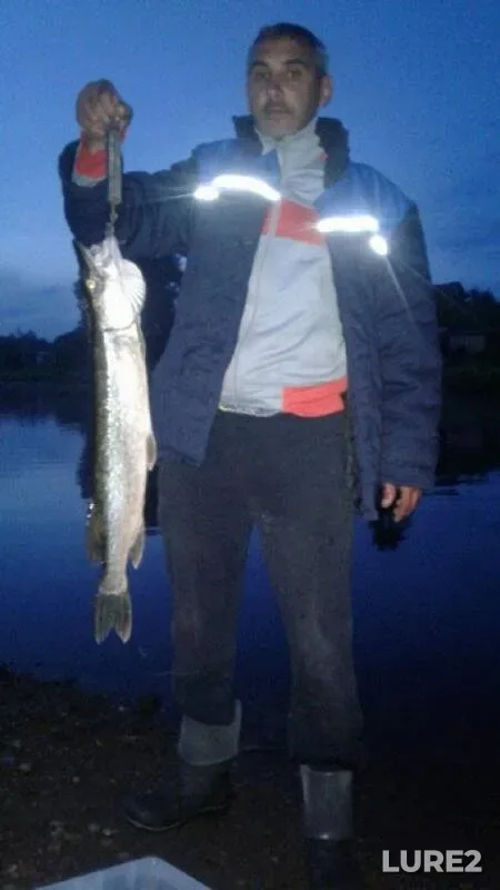 Pike — Leningradskaya oblast, Luzhskiy rayon, Aug 25, 2019
