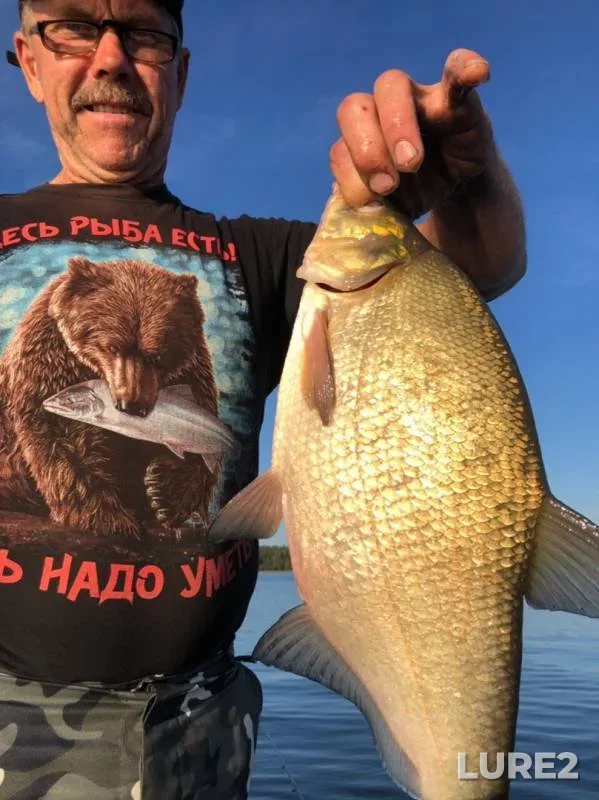 Bream — Lipovskoye, Sep 04, 2019