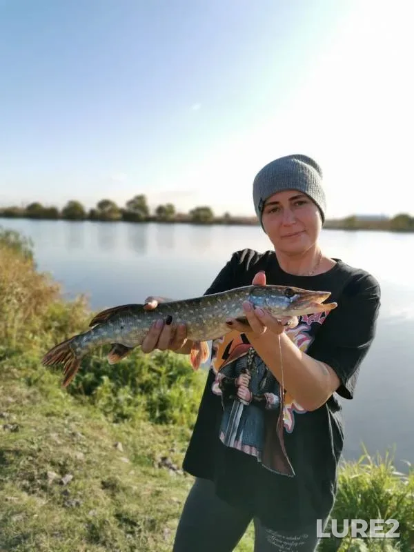 Crucian carp, Pike — Kuzminka, Oct 06, 2019