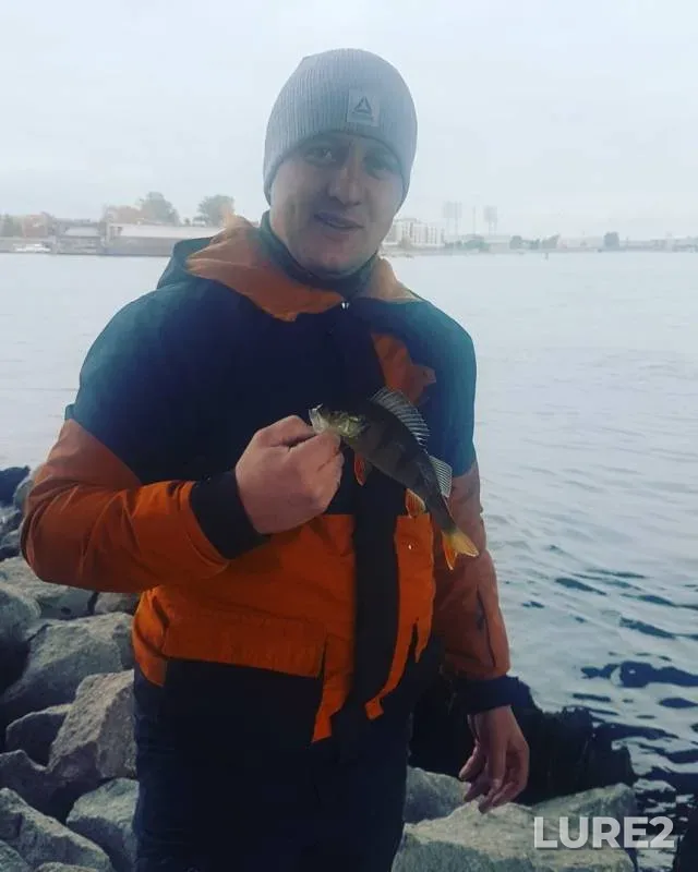 Perch — Zhdanovka, Oct 07, 2019