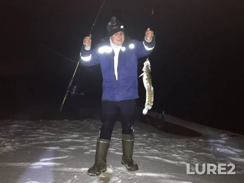 Burbot — Sukhona, Nov 03, 2019