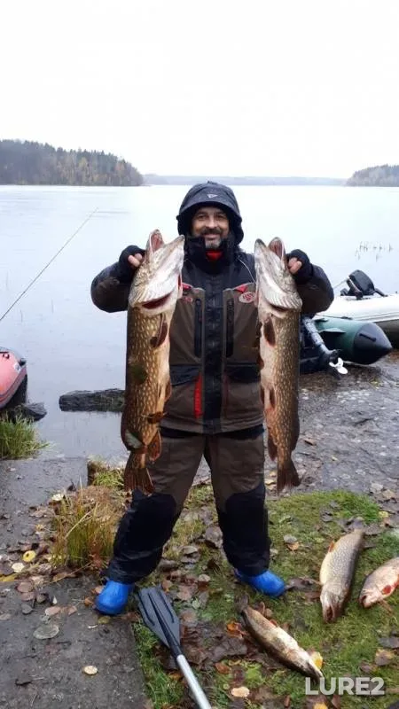 Pike — Laykhayarvi, Oct 25, 2019
