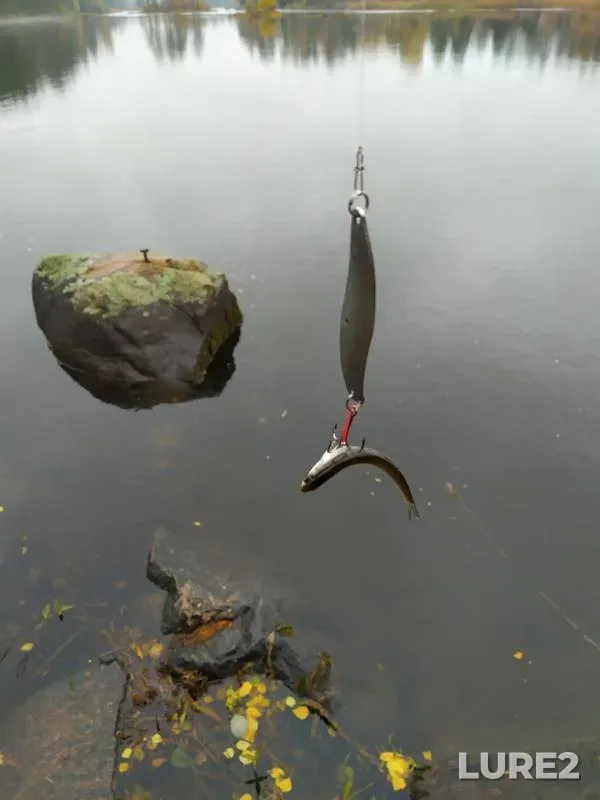 Pike — Medvezhye, Oct 21, 2019
