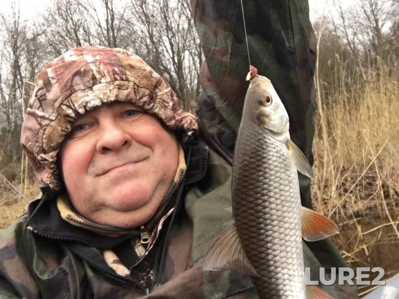 Roach, White bream — Novoladozhskiy kanal, Nov 18, 2019