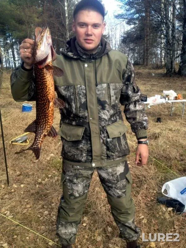 Pike — Kyamenitskoye, May 10, 2018