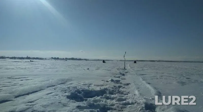 Perch — Zhayyқ - Ural, Feb 19, 2019