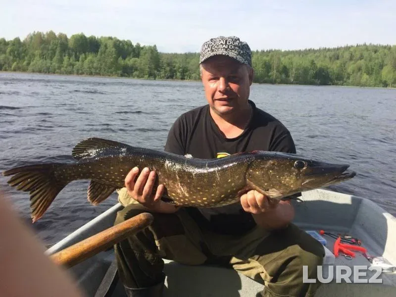 Pike — Gomselga, May 27, 2018
