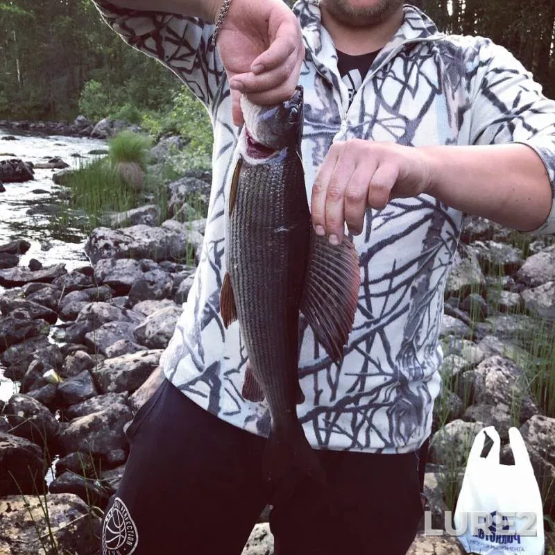Pike — Kento, Jul 09, 2018