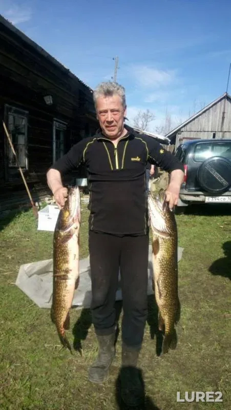 Pike — Rybalampi, Jul 19, 2018