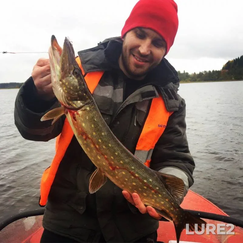 Pike — Karmalanyarvi, Oct 02, 2018