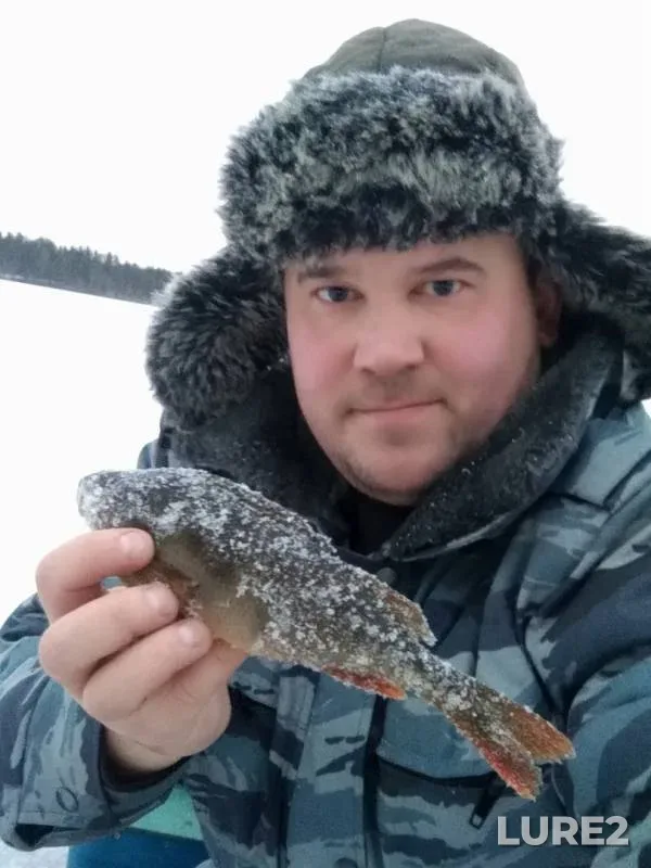 Perch — Kudom, Dec 03, 2018