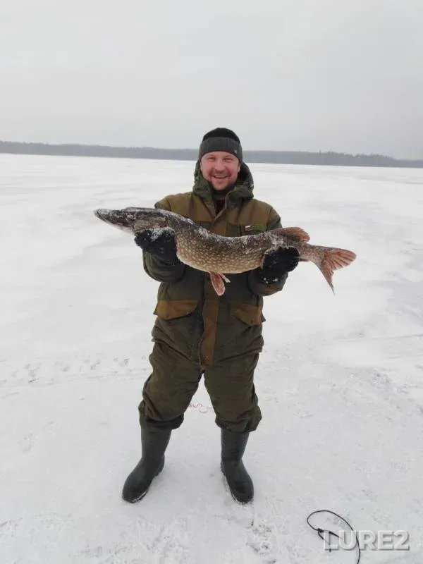 Pike — Respublika Kareliya, Pryazhinskiy rayon, Dec 12, 2018