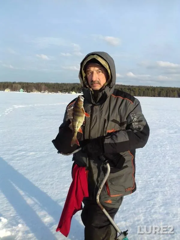 Perch — Respublika Kareliya, Pryazhinskiy rayon, Mar 17, 2019