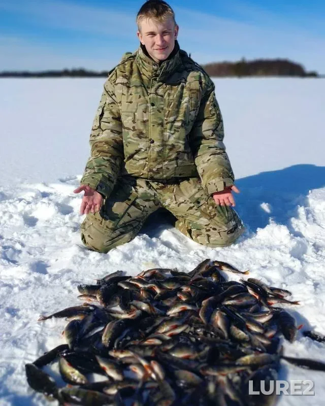 Perch — Shuyezero, Mar 28, 2019