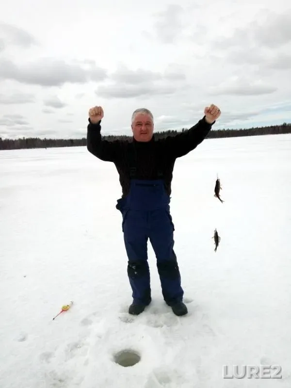 Perch — Nasonovskoye, Mar 31, 2019