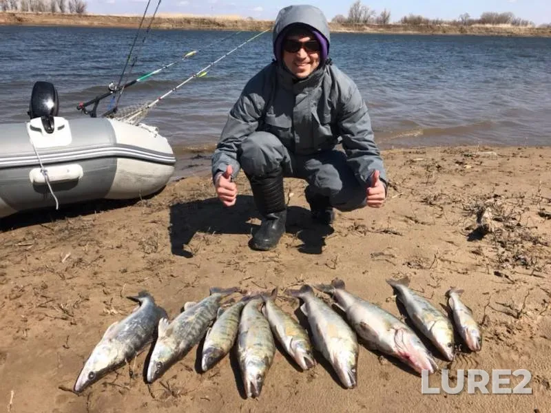 Zander — Akhtuba, Apr 04, 2019