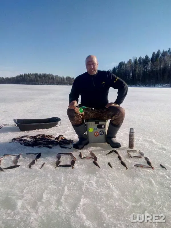 Perch — Nasonovskoye, Apr 07, 2019